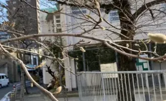 関わり方のコツ