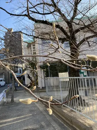 関わり方のコツ