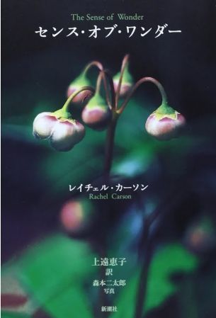 おすすめの本