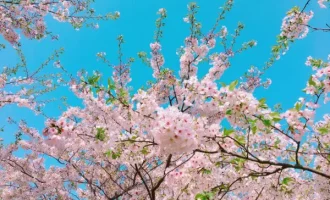関わり方のコツ