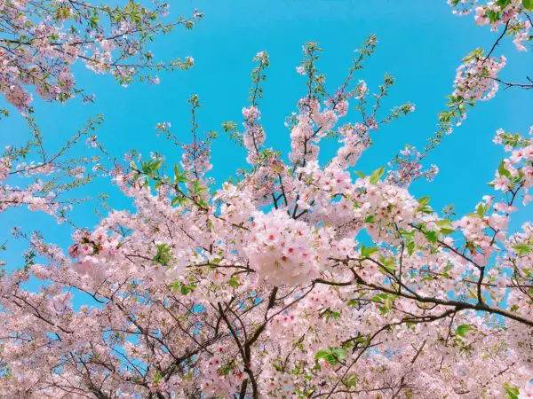 関わり方のコツ