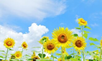 夏休み明け