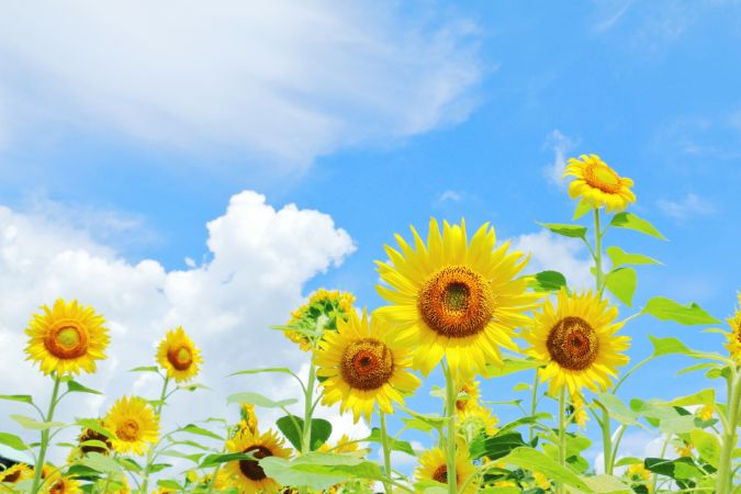 夏休み明け