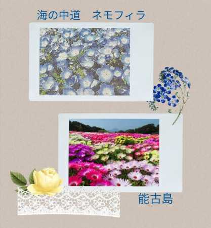 今日は何の日